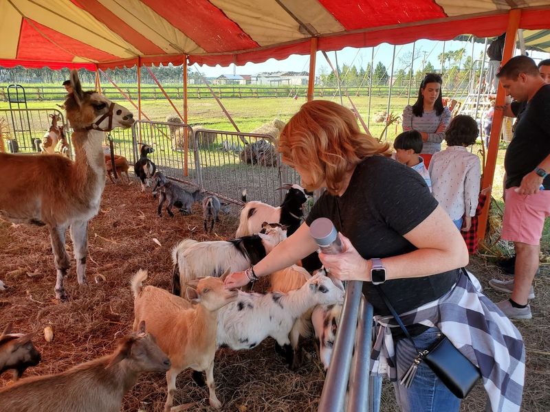 A Family Farm With Deep Roots