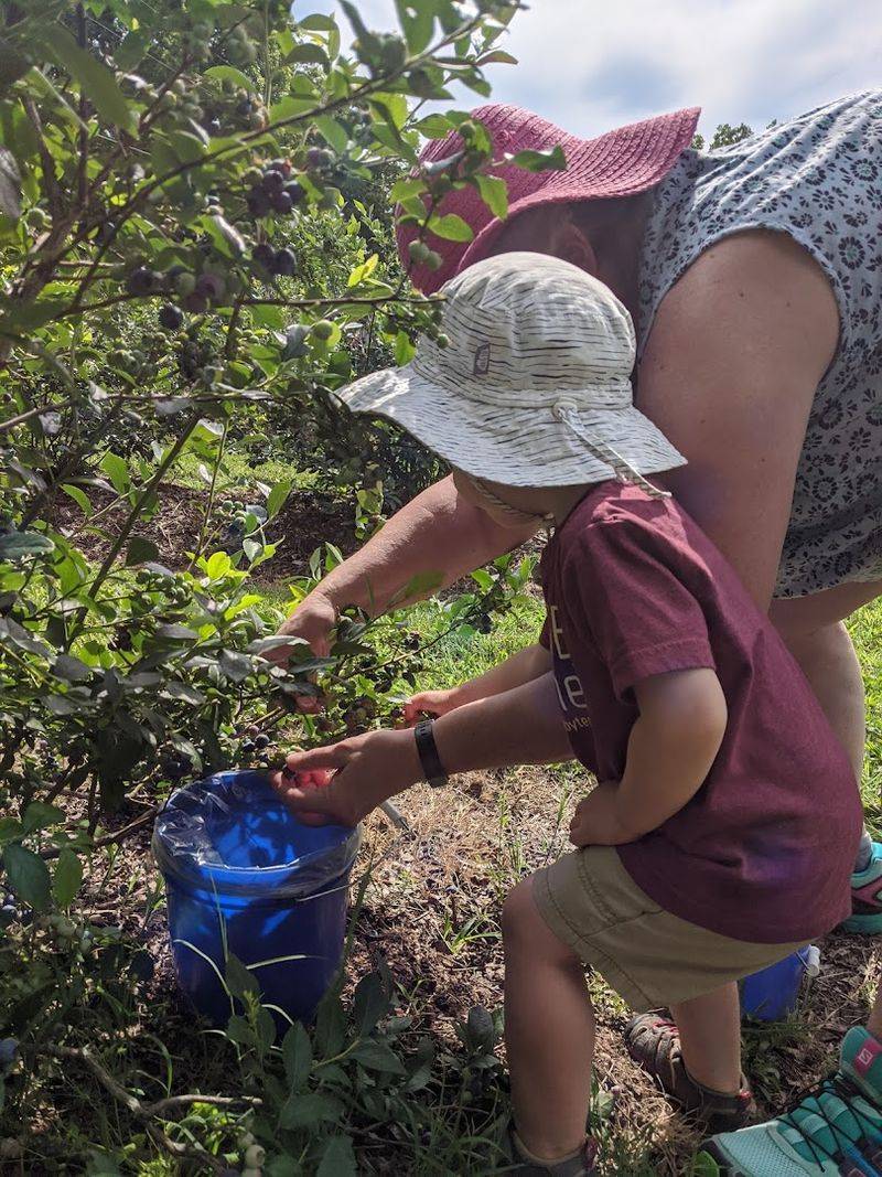 The Story Behind the Farm