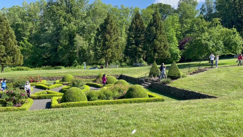 The Mob Connection That Started It All