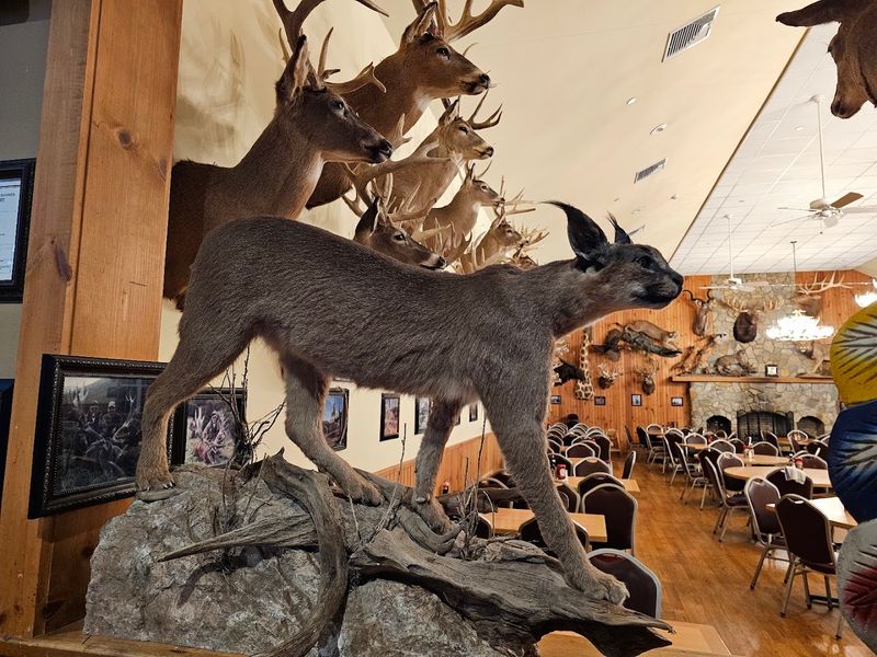A Taxidermy Collection That Stops You Cold