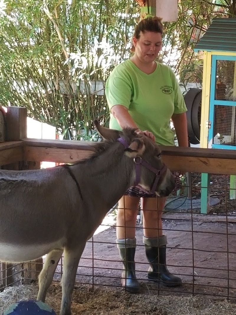 The Rescue Mission Behind Every Animal Here