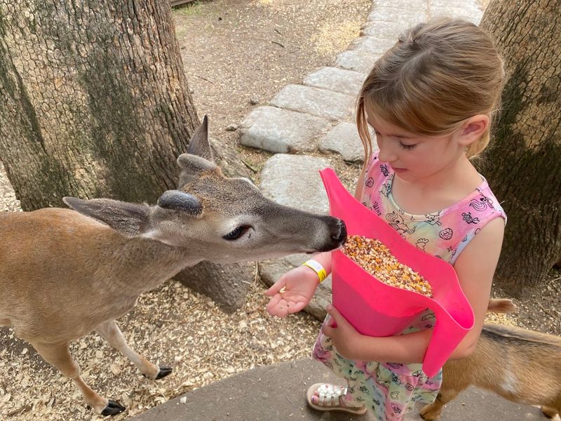 The Rescue Mission Behind the Fun