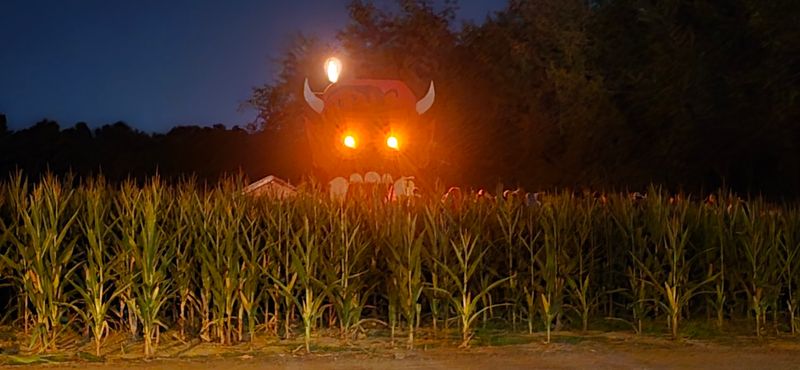 The Farm That Becomes a Haunt