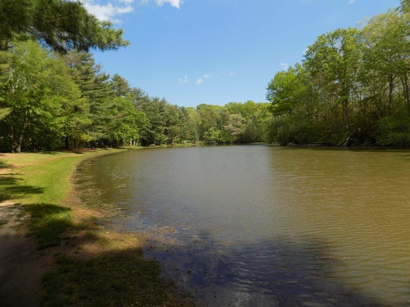 A River With a Fierce Name and a Calm Personality