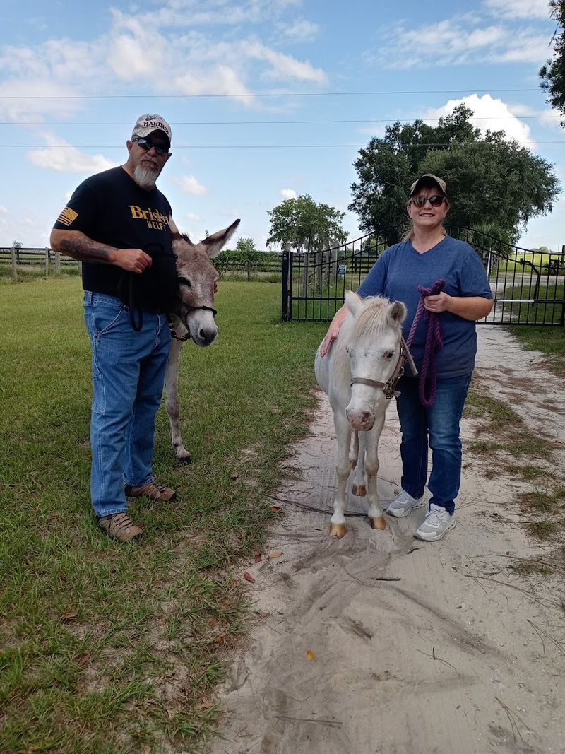 The Story Behind the Ranch