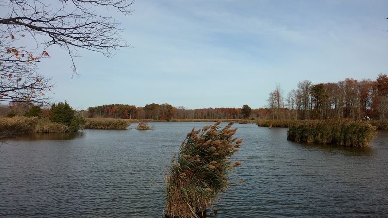 A Landscape Built on Water and Marsh