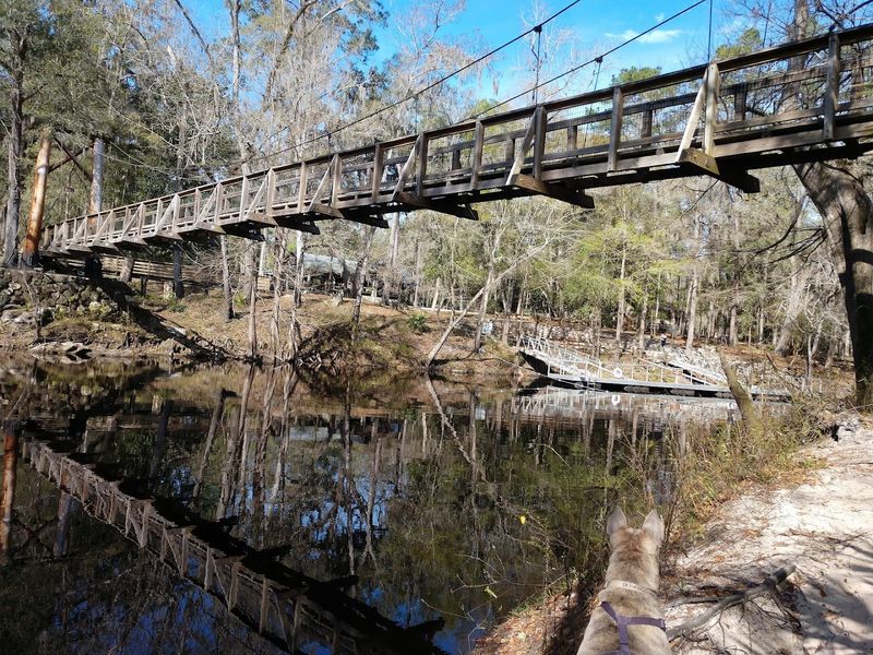 The Suspension Bridge That Started the Stories