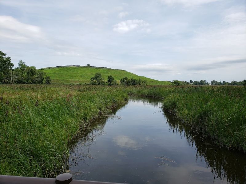 A Landfill That Became a Living Ecosystem