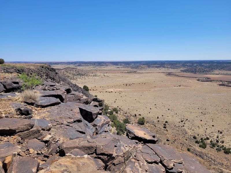 The Prehistoric Roots Beneath Your Boots