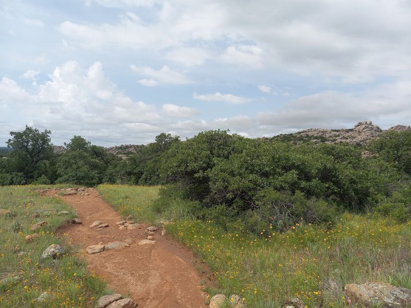 The Scenery Along the Way