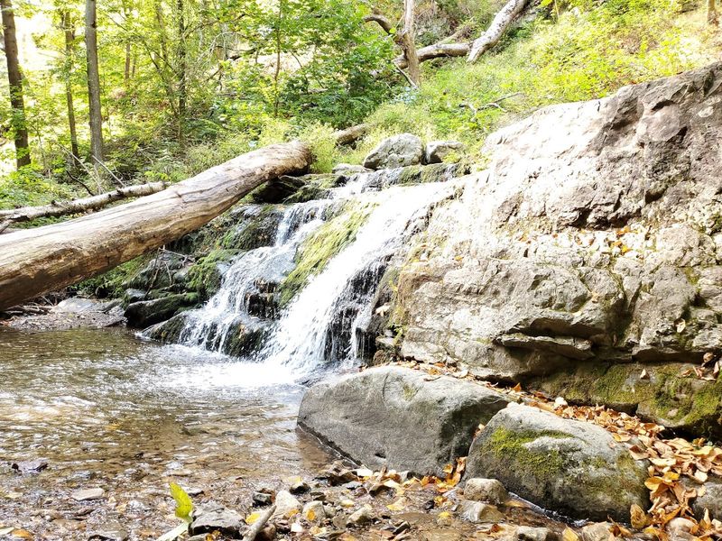 What Kind of Hike Is This, Really