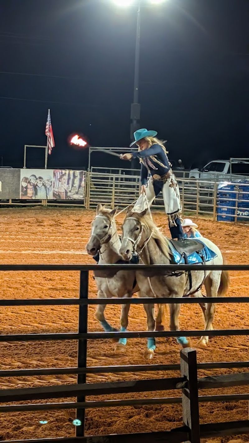 The Mechanical Bull: Florida's Most Unpredictable Ride