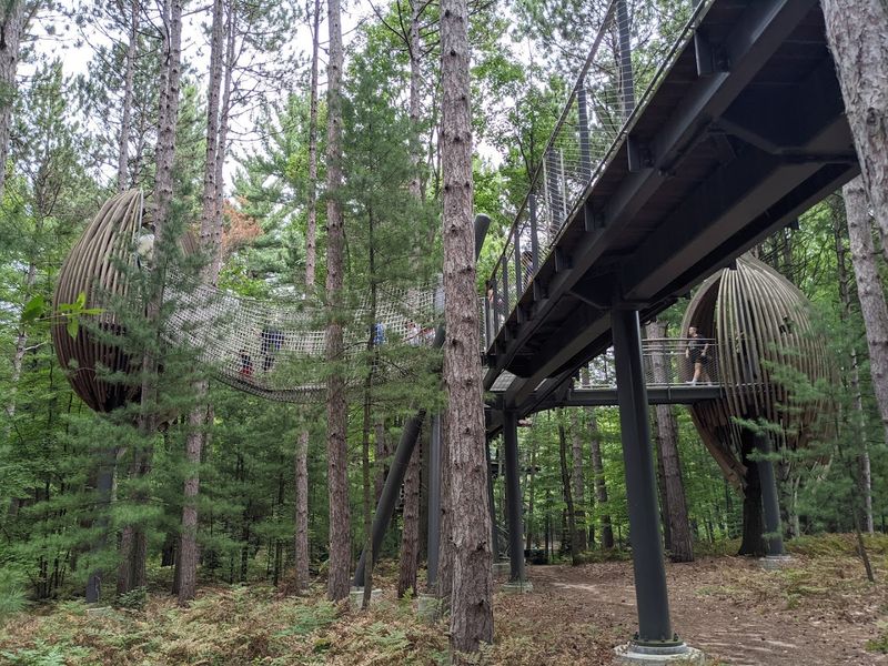 The canopy walk itself