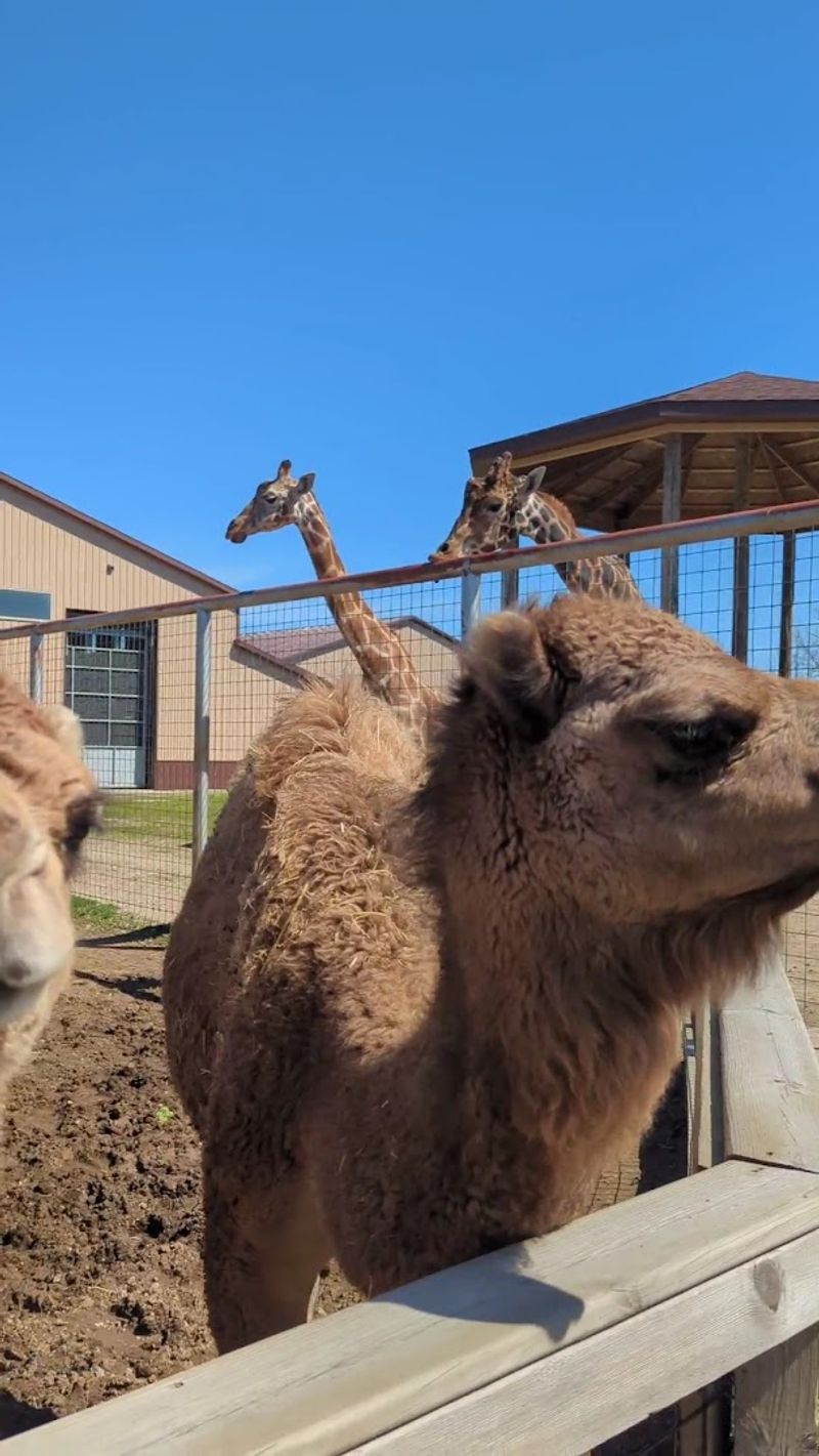 A collection that keeps surprising you