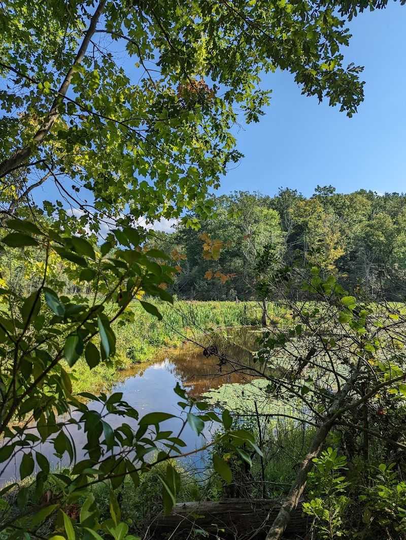 A quieter side of Cape May