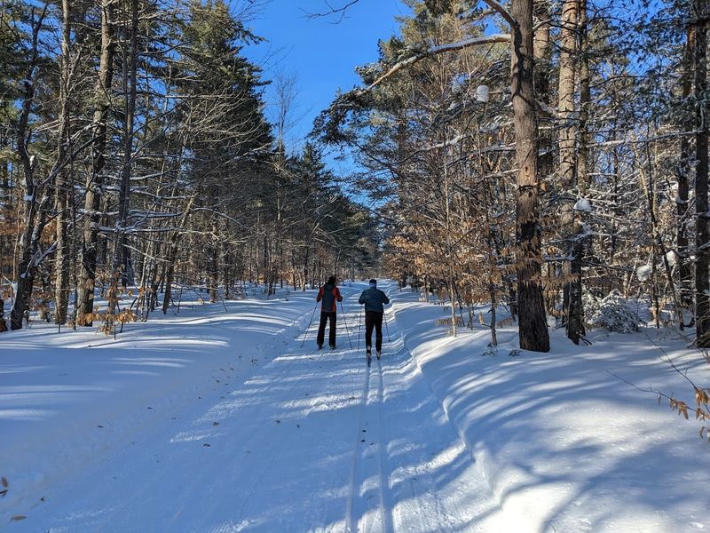 The snow here means business