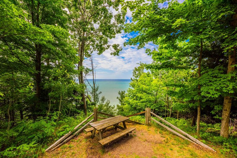 How to Get Around Once You Arrive