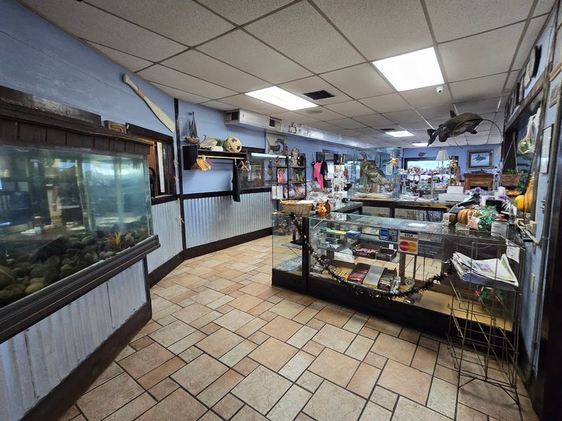 The Story Behind the Name