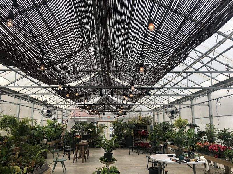 The Greenhouse That Plant Enthusiasts Keep Coming Back For