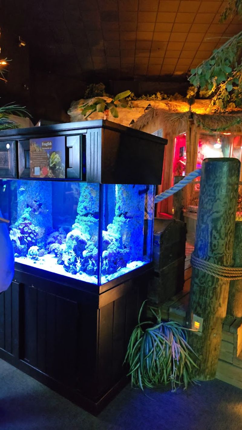 A Two-Story Layout That Keeps Things Moving