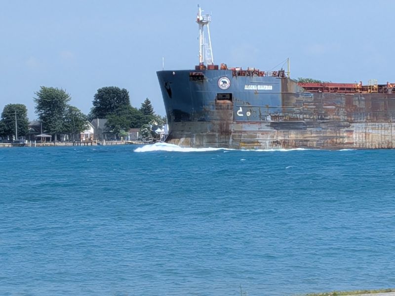 The St. Clair River Freighter Show You Never Knew You Needed