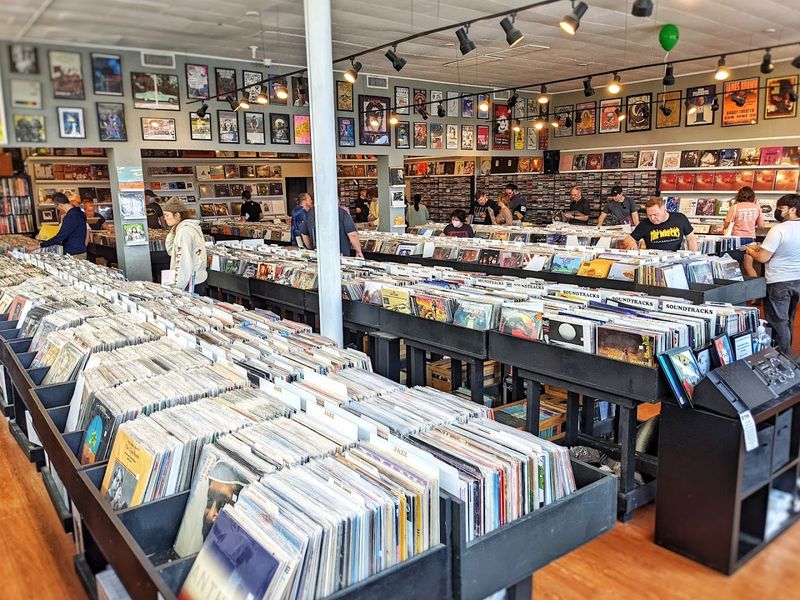 The Scale of the Collection Will Surprise You