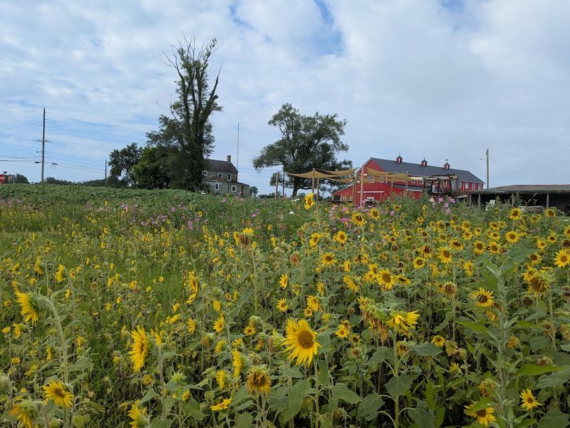 A Century of Farming and Family Pride