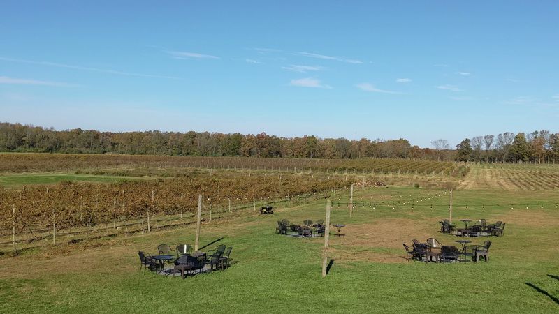 The Vineyard Views That Started the Conversation