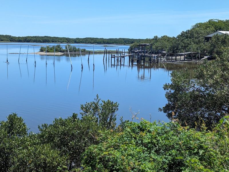 The Story Behind the Farm