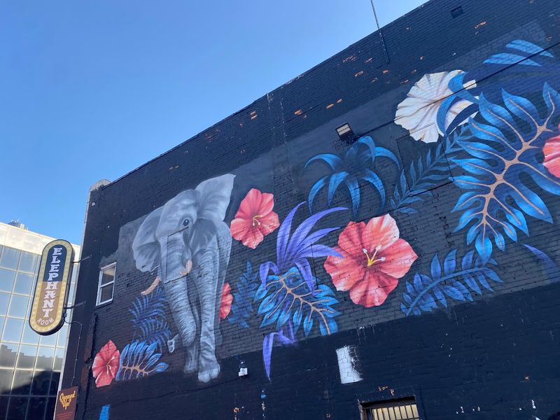 The Story Behind the Elephant Concept