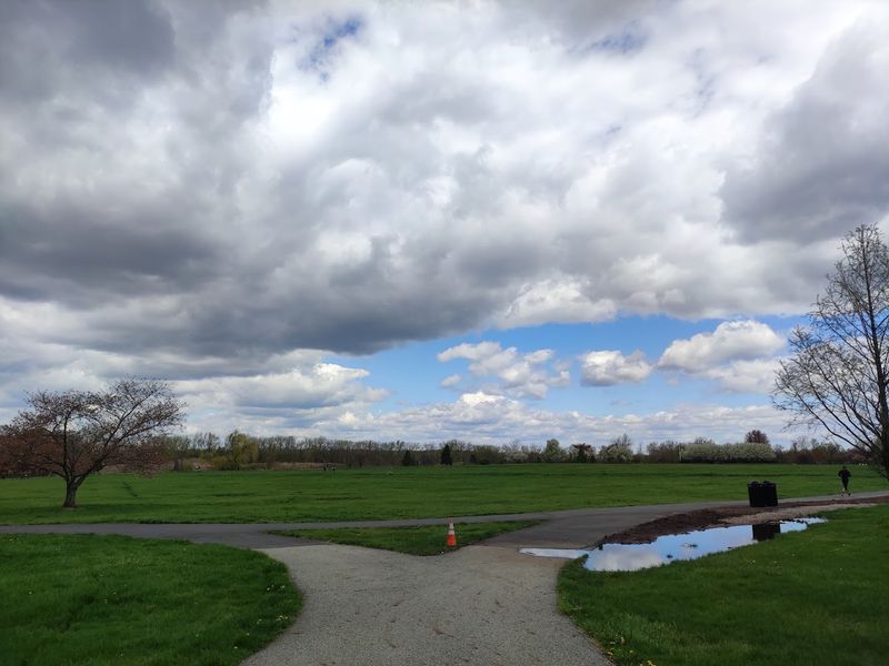 From Landfill to Thriving Ecosystem: The Park's Surprising Past