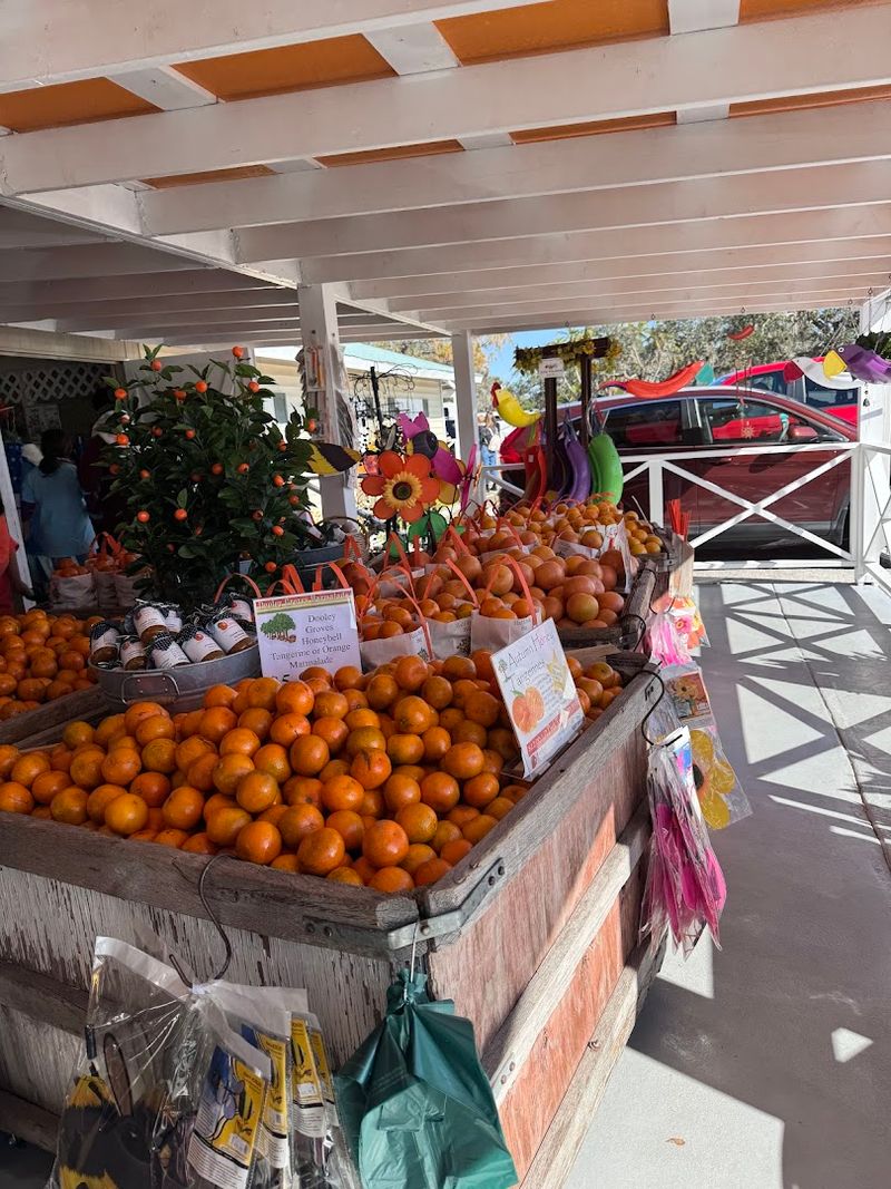 The Story Behind the Grove