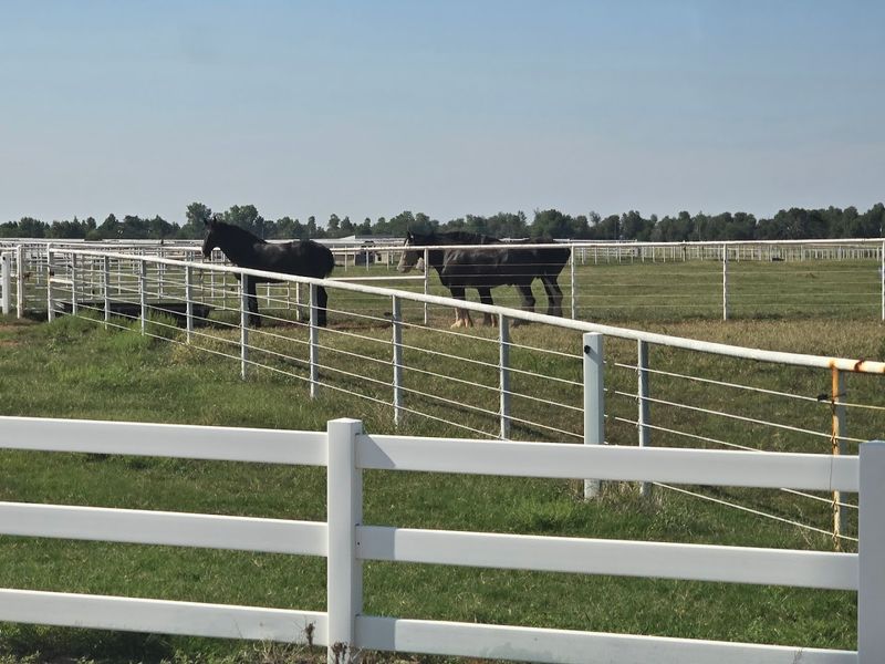 A Free Visit That Feels Like a Real Experience