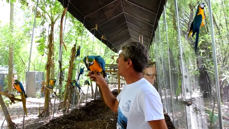 The Man Behind the Mission: Magic