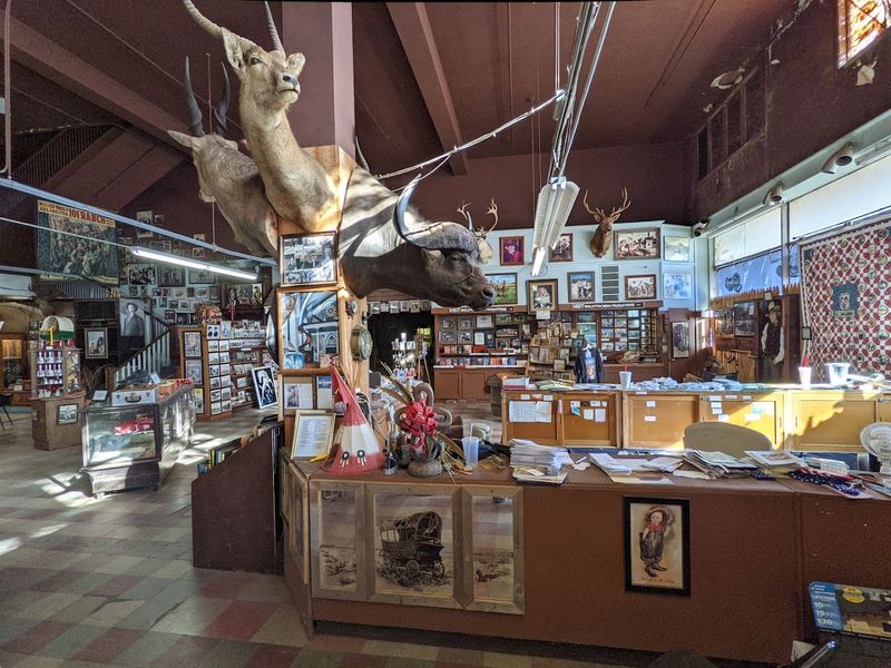 The Family Behind the Collection