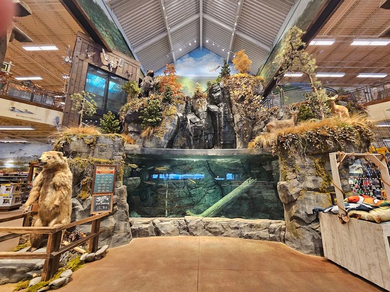 The Waterfall That Stops People in Their Tracks