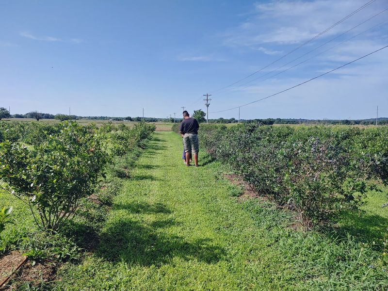 The Story Behind This Family Farm