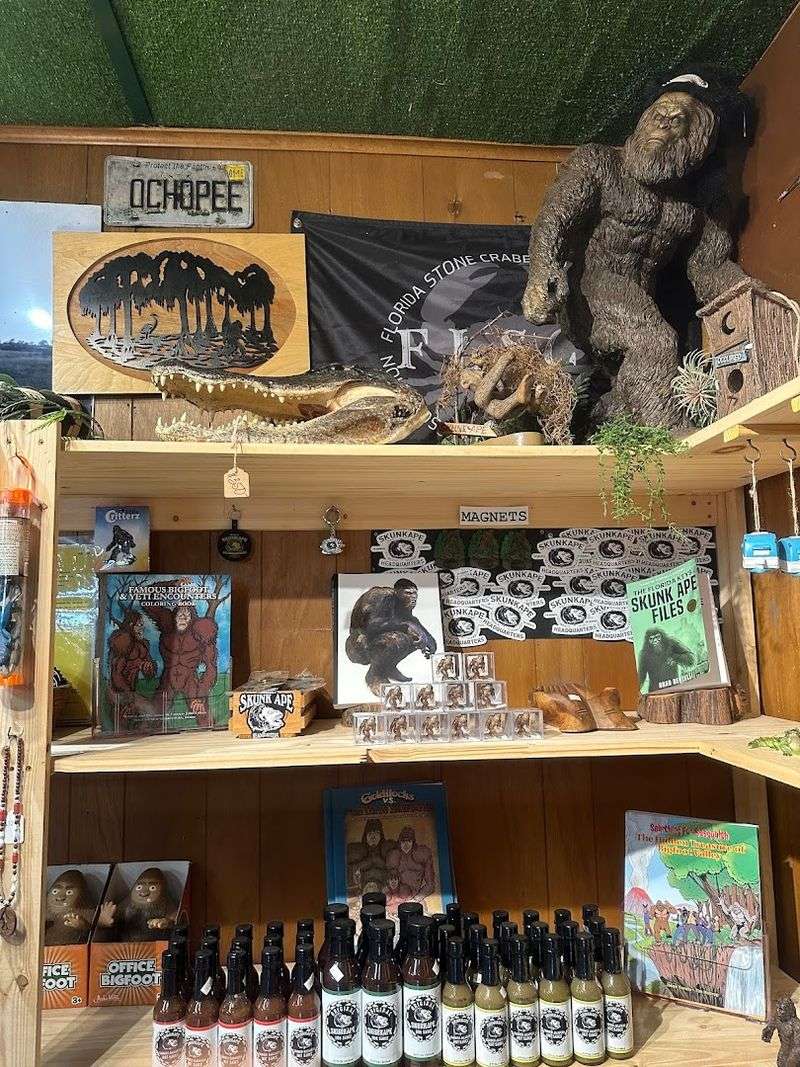 Practical Tips Before You Go