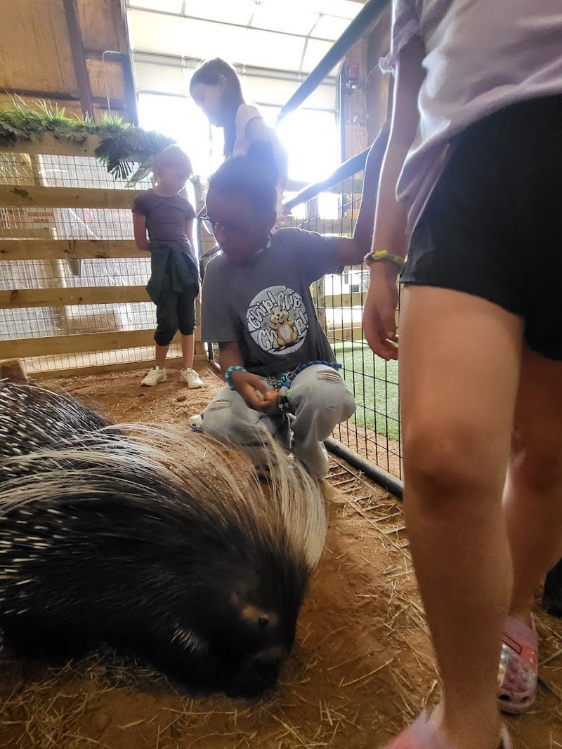 Animal Welfare at the Core of Everything