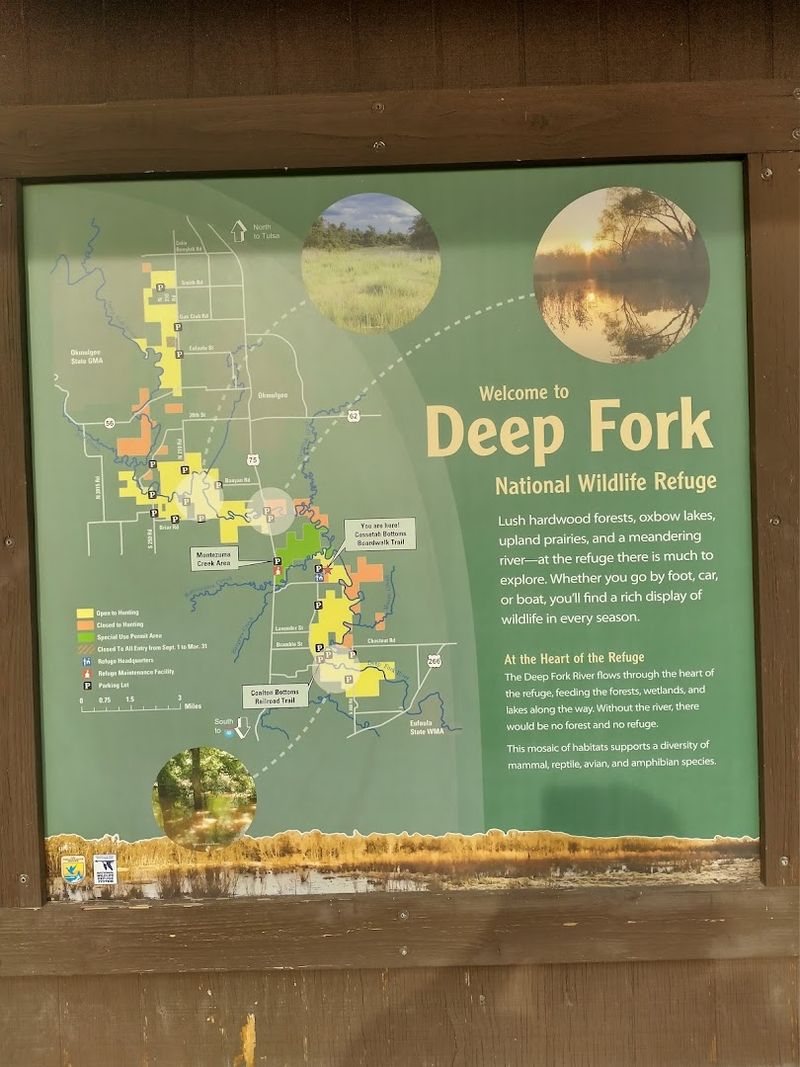 The Surrounding Deep Fork Refuge and What Else to Explore