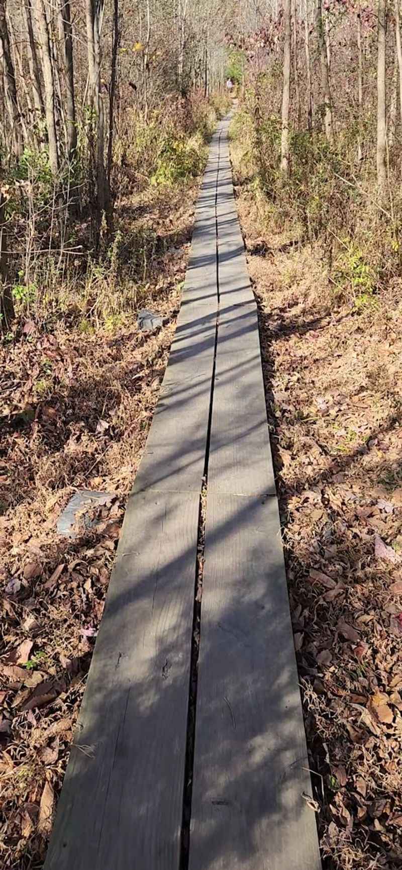 Why it stays so popular