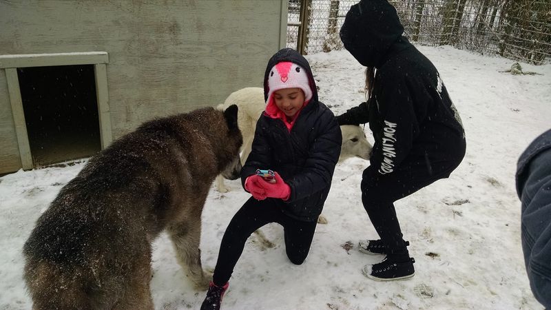 Best Time to Plan a Visit