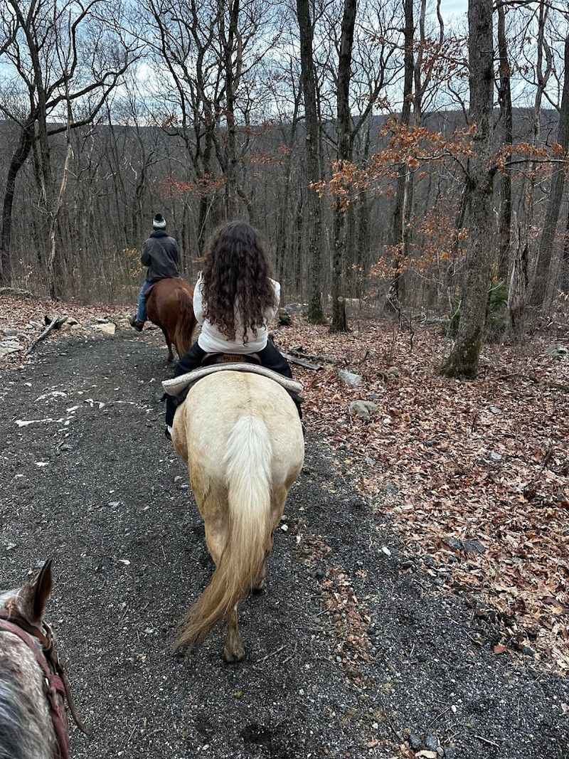 The Trail Ride Appeal