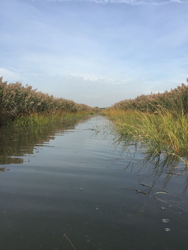 A River Worth Knowing Better