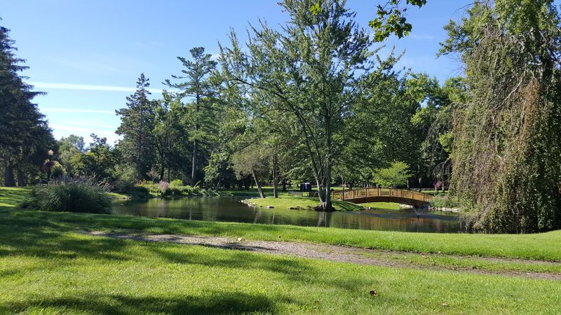 The Kind of Place You Remember