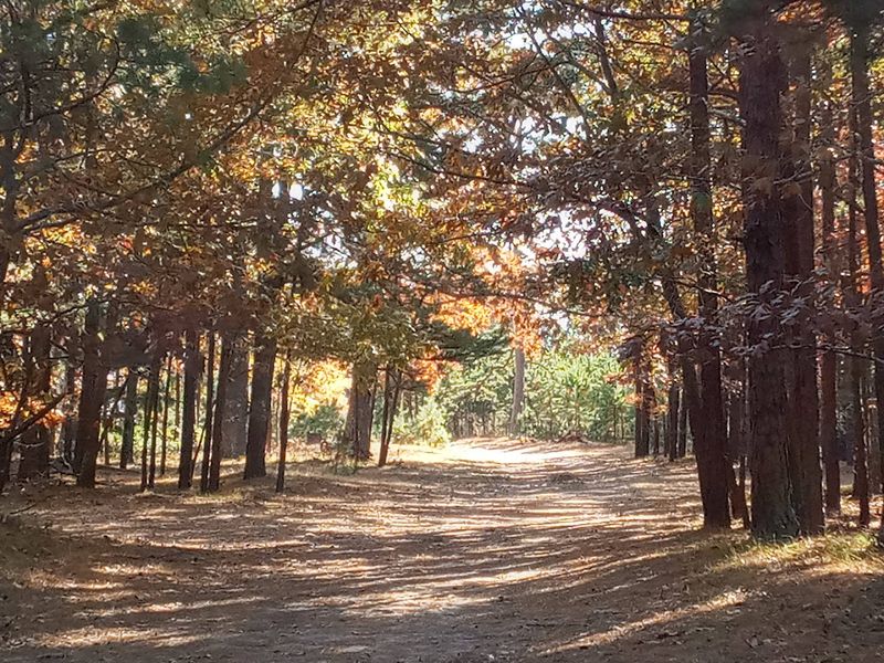 Trails That Keep It Simple