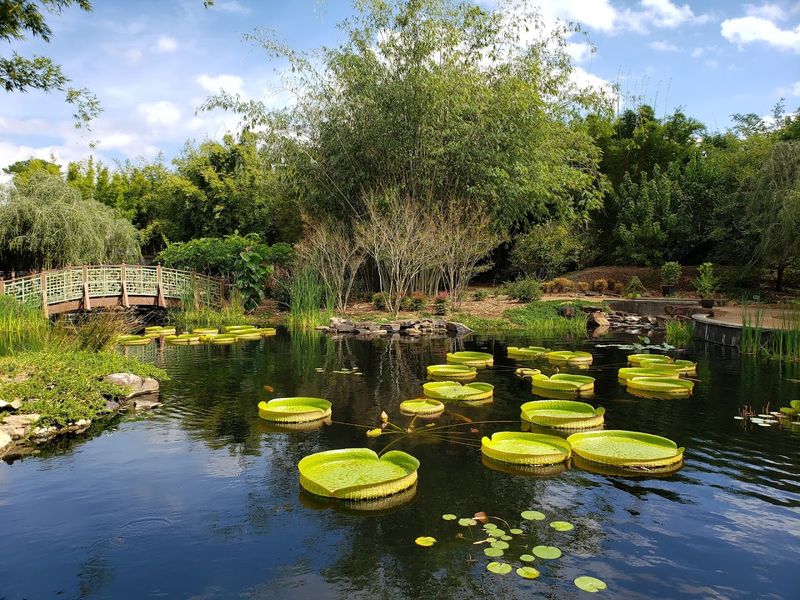 The Conservation Mission Behind the Center