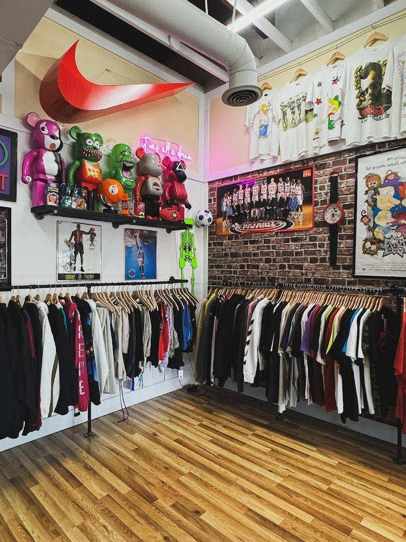 The Best Time to Visit and What to Expect