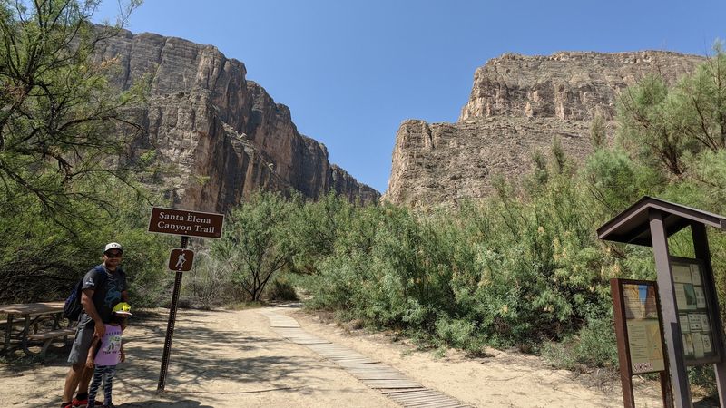 The Snake Species You Are Most Likely to Encounter