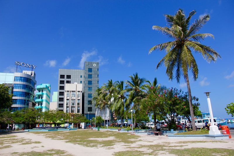 Produce Markets and Local Food Culture